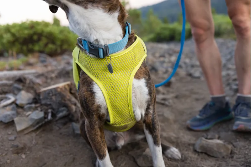 Ruffwear Trail Runner Dog Running Vest Lichen Green-9